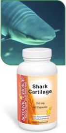 Shark Cartilage nutritional supplement promotes joint health